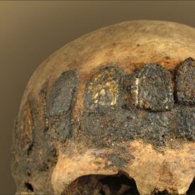 F1 Archeologinės ataskaitos